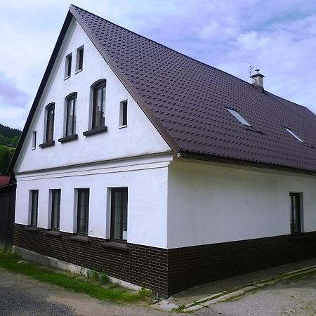 Penzion Pod Studenovem ロキトニツェ・ナト・イゼロウ エクステリア 写真
